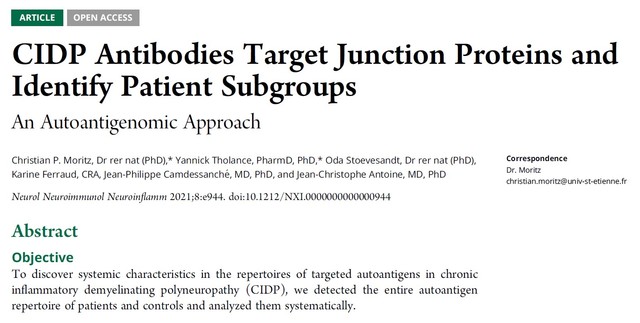 Janvier 2021 - Article: CIDP antibodies target junction proteins...