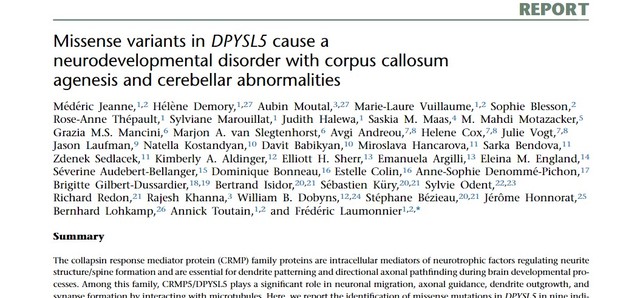 April 2021 - Article: Missense variants in DPYSL5 cause a neurodevelopmental