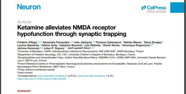 July 2024 - Article: Ketamine alleviates NMDA receptor hypofunction....
